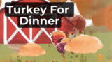 turkey-for-dinner-video