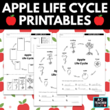 Apple Life Cycle Worksheet Printable Pages apple-life-cycle-printables